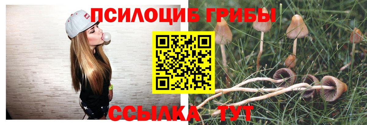 Калининград  Галлюциногенные грибы мицелий  Галлюциногенные грибы GOLDEN TEACHER  Вход с VPN 